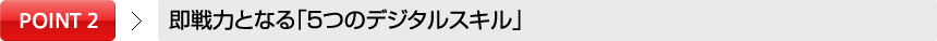 POINT2即戦力となる「５つのデジタルスキル」